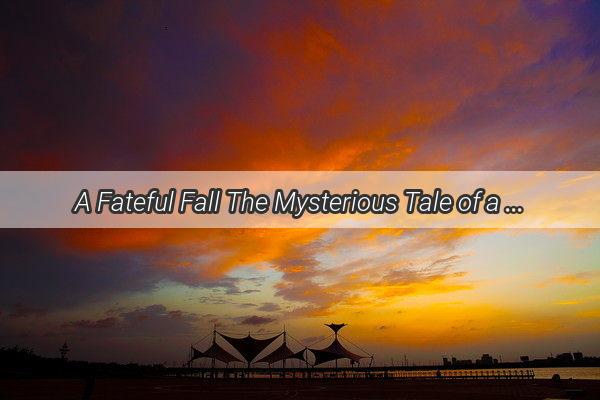 A Fateful Fall The Mysterious Tale of a Dreaming Undertakers Downward Spiral